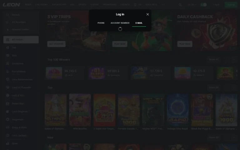 Fenêtre de connexion de Leon Casino