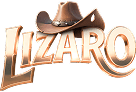 Logo Lizaro